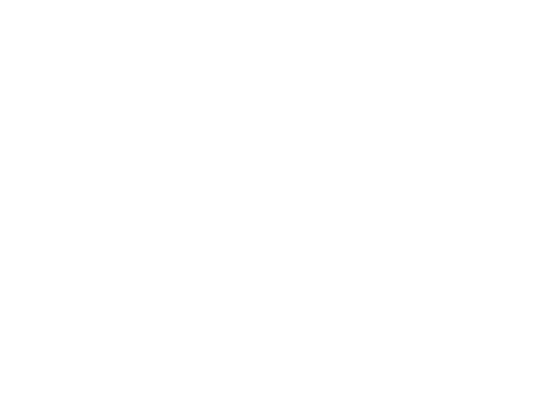 DevNinjas Logo